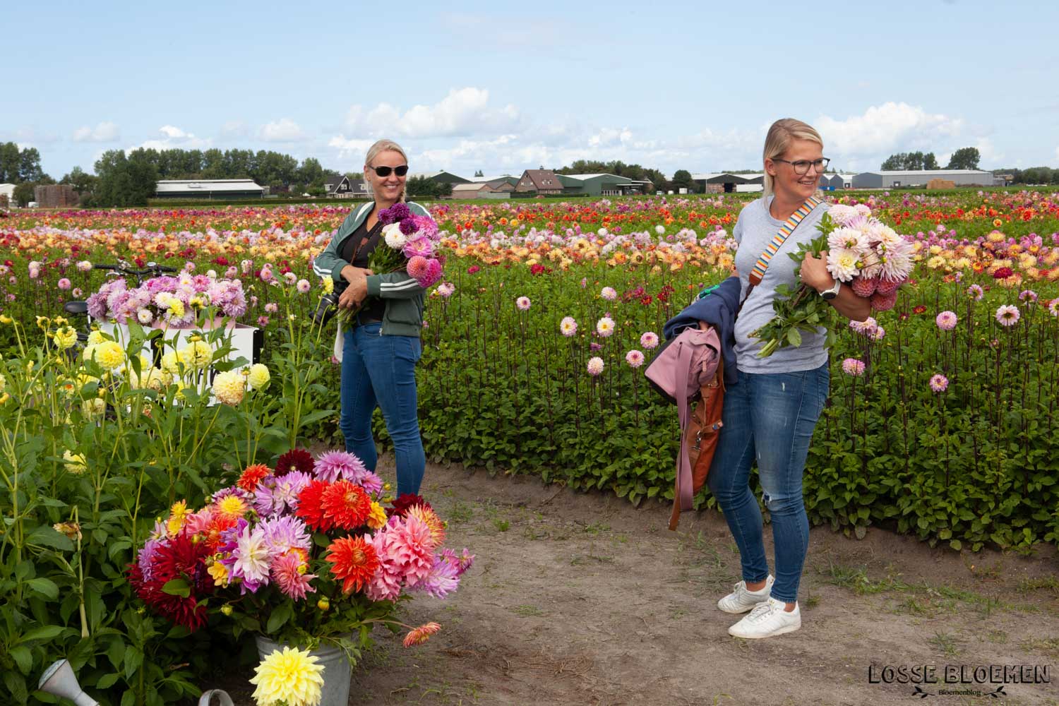 Binnenkijker: Lunch + Dahliavelden Van Fam Flowerfarm - Losse Bloemen